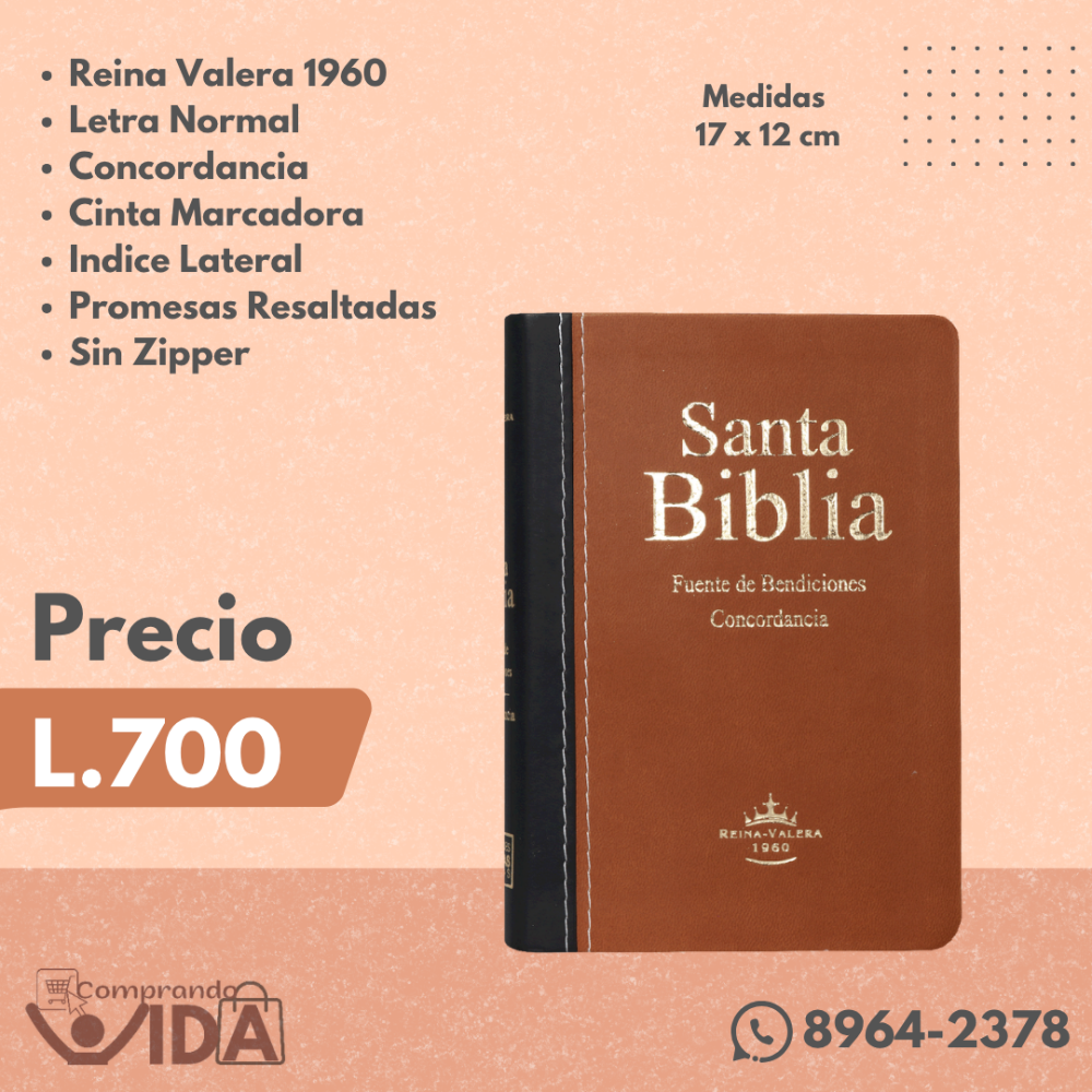RVR046CLMFB PROMESAS MARRON