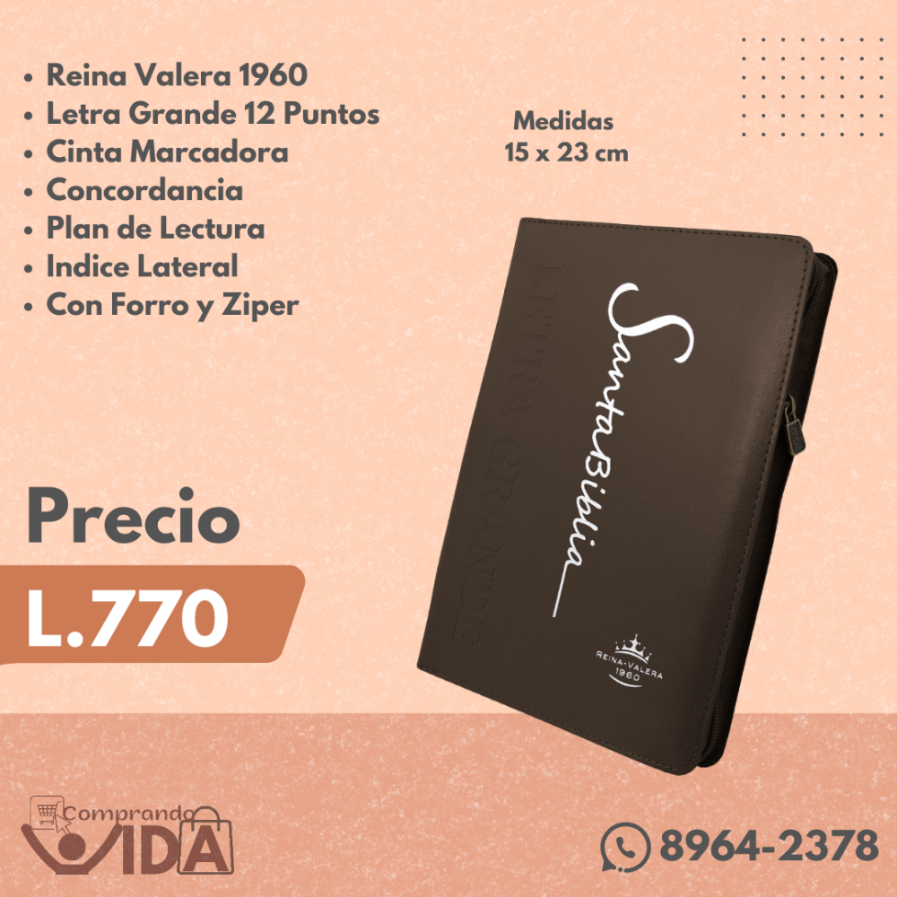 RVR06CZLGTI MARRON LETRA GRANDE