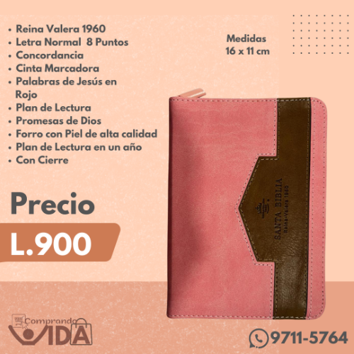 RVR60025CZTI ELEGANTE ROSA CAFE