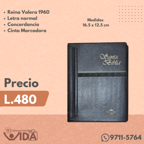 RVR042C/NEGRO