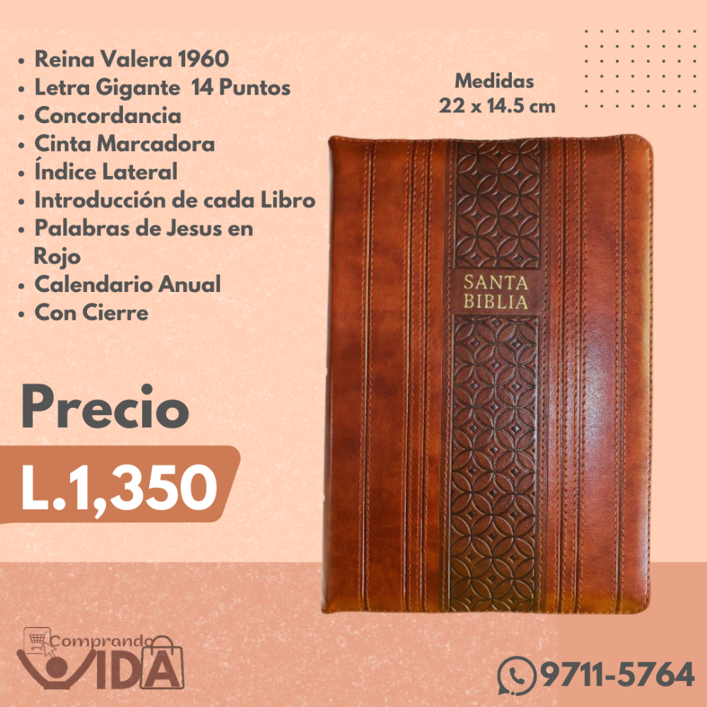 Biblia Letra Gigante Tamaño Manual