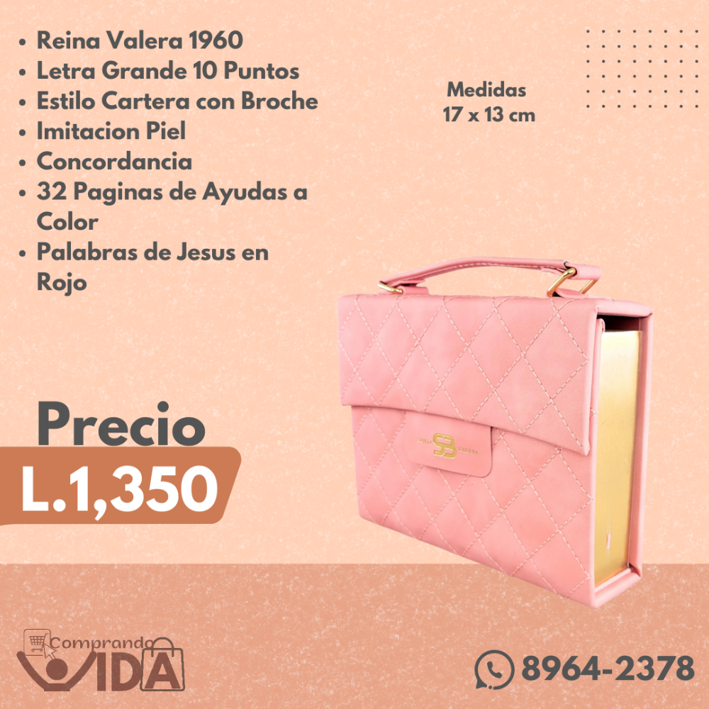 BIBLIA CARTERA ROSA CLARO