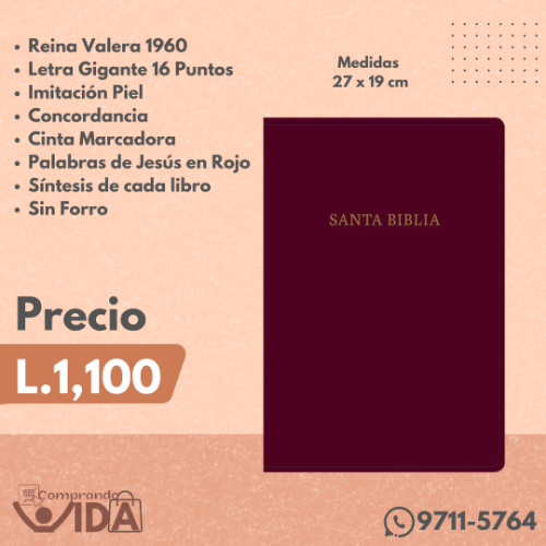 Biblia Letra Super Gigante 16 Puntos Rojo Borgoña