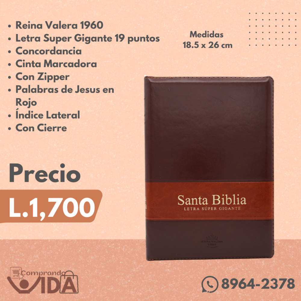 RVR086cLSGIPJRZTI MARRON SUPER GIGANTE