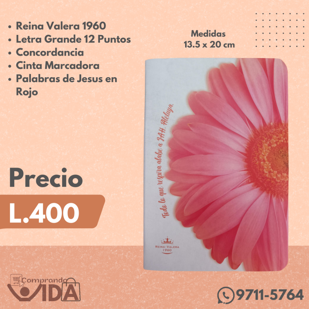 RVR.61CLGPJR-FLOR