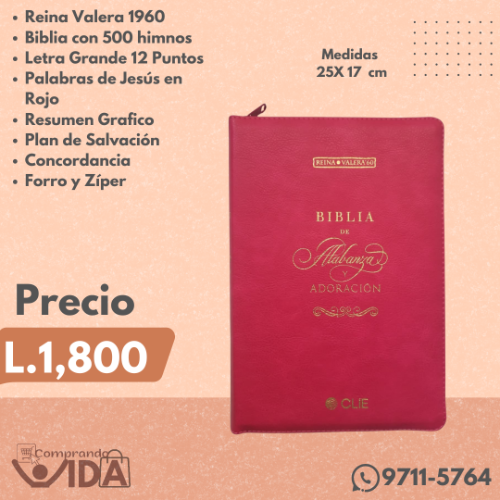 Biblia Letra Grande Con Alabanzas Rosa