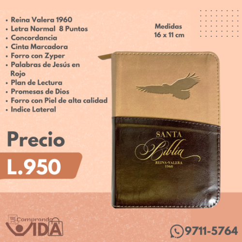 RVR60025CZTI PJR CAFE AGUILA