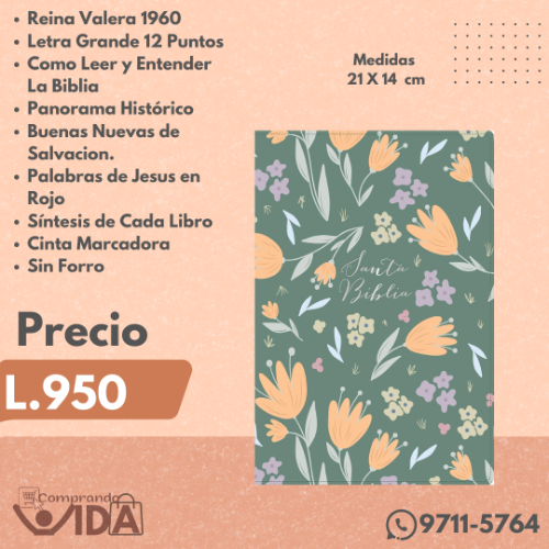 Biblia Letra Grande Verde Floral