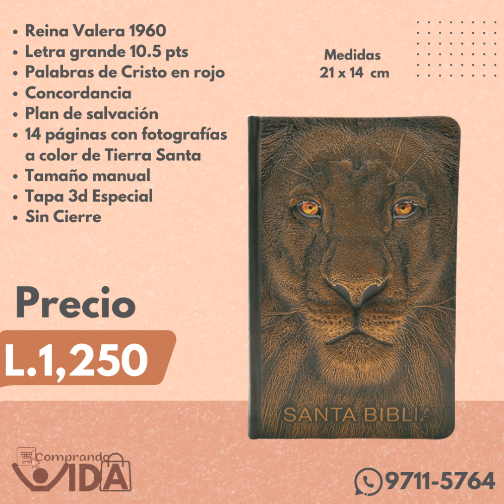 BIBLIA LEON DE JUDA 3D