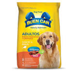 buen can adulto