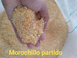 morochillo partido