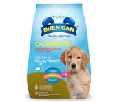 Buen can cachorro
