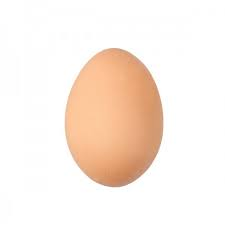 HUEVOS