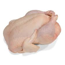Pollo