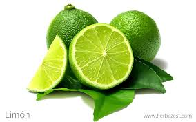 Limon sutil