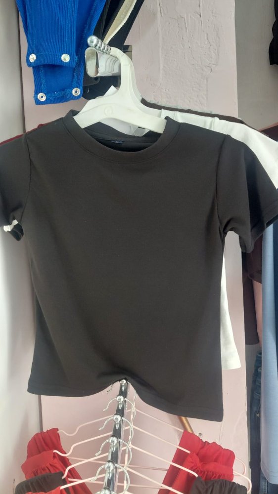camiseta basica