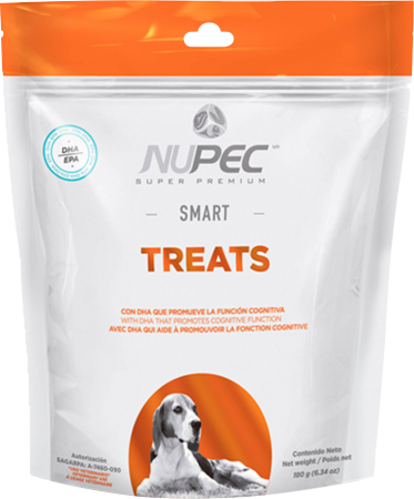 Nupec Smart