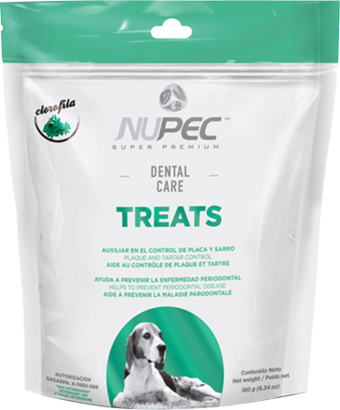 Nupec Dental Care