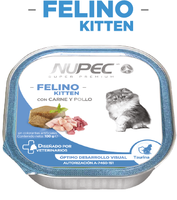 Nupec Lata Kitten