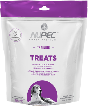 Nupec Training