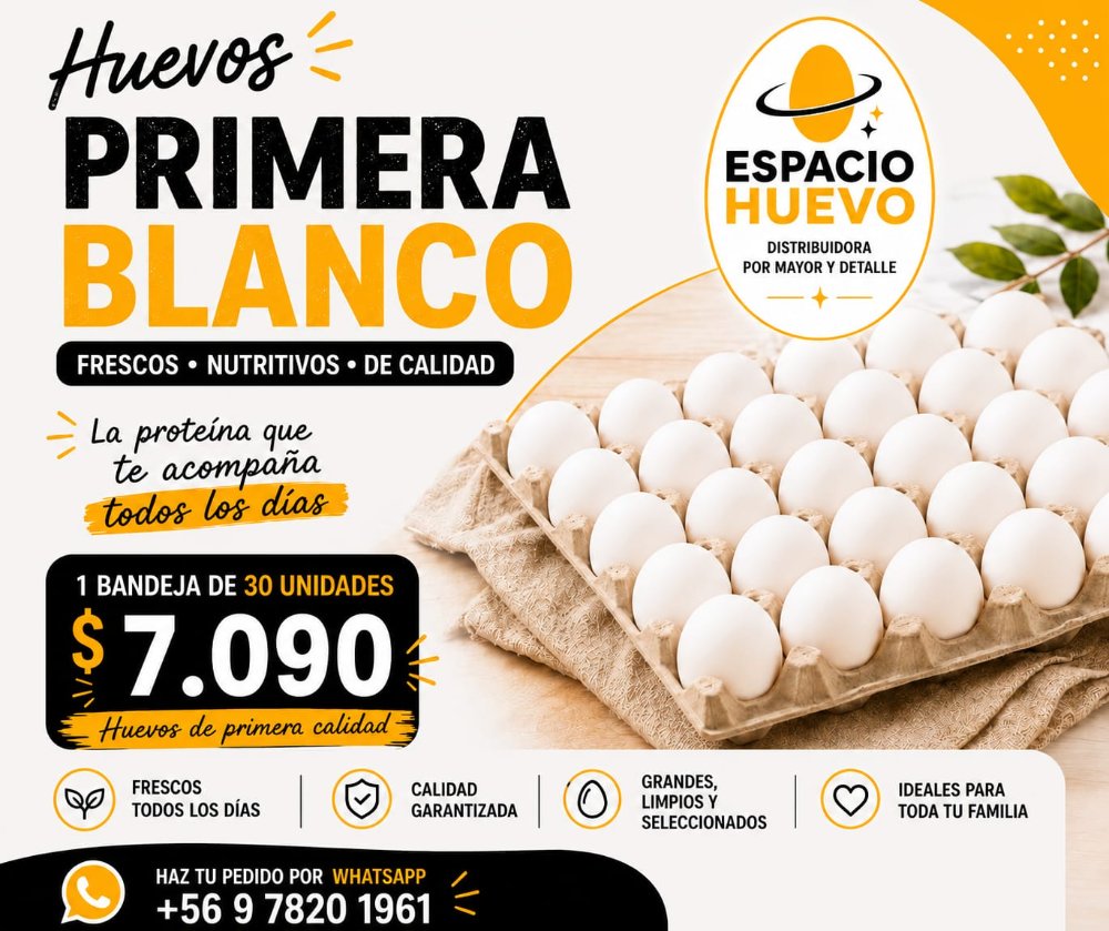BANDEJA PRIMERA BLANCO