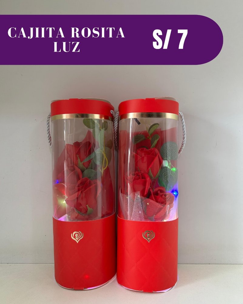 RAMITO DE ROSAS EN CARTERA CON LUCES