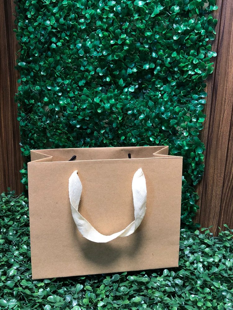 Bolsa de regalo craft