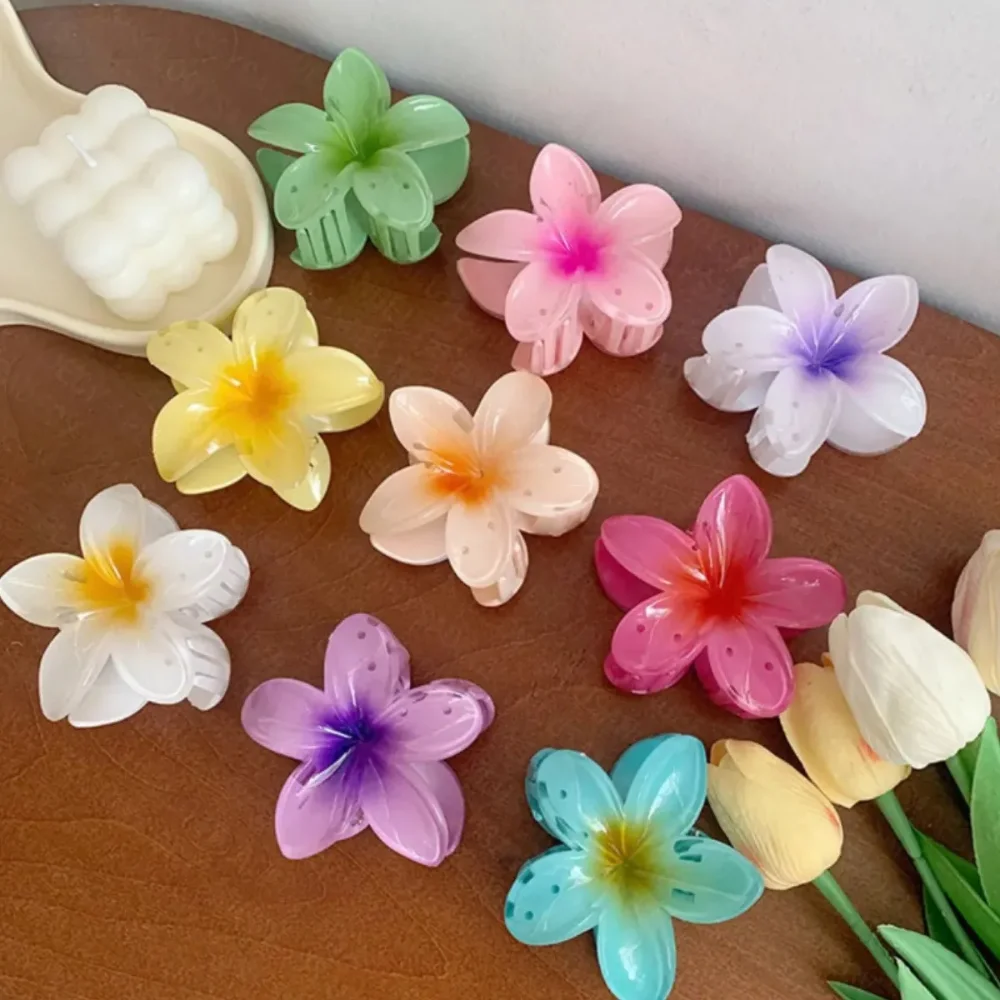 Pinzas para cabello