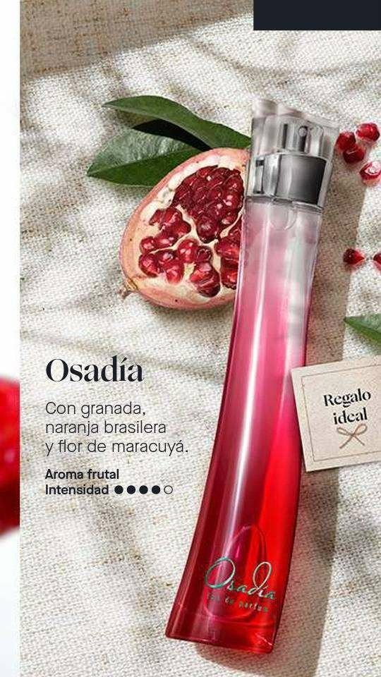 FRAGANCIA FEM OSADIA