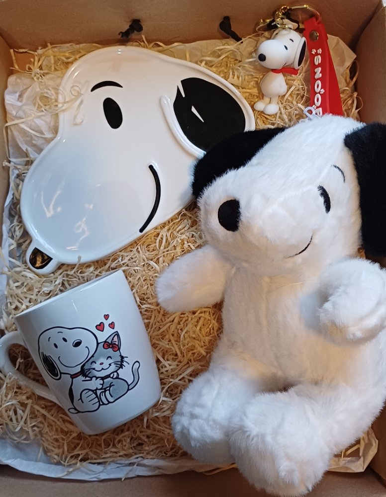 BOX SNOOPY