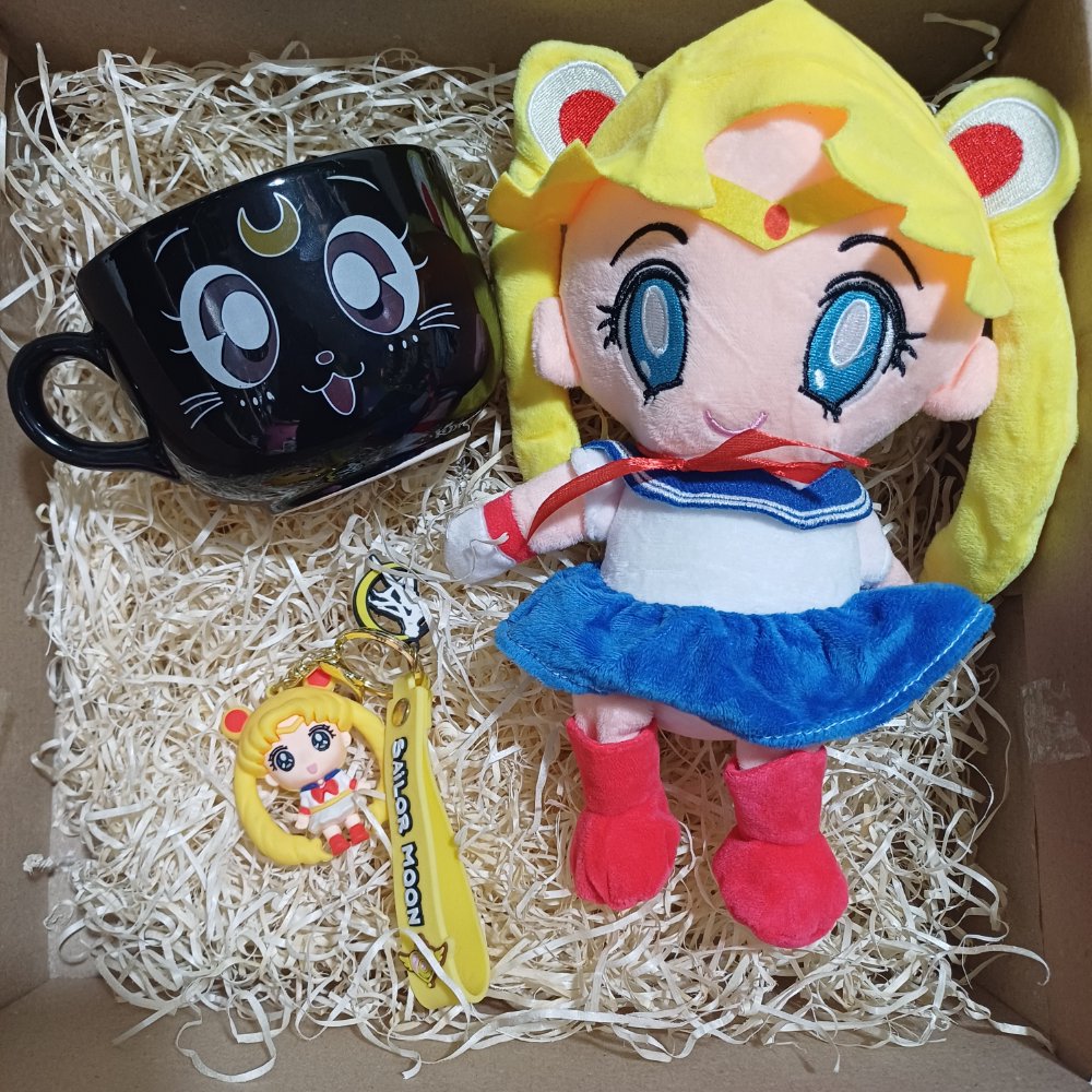 BOX SAILOR MOON
