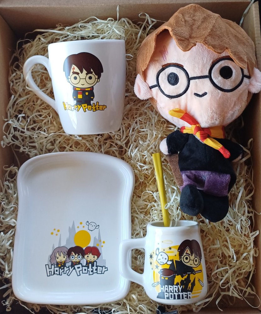 BOX HARRY POTTER