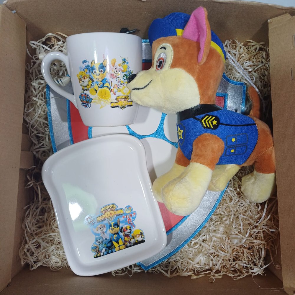 BOX PAW PATROL