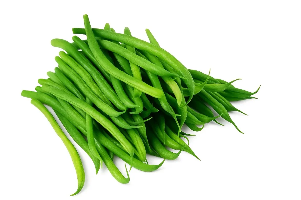 vainita