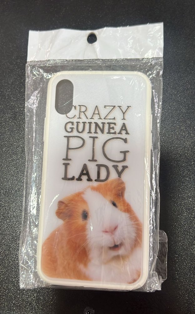 Case iPhone X/Xs