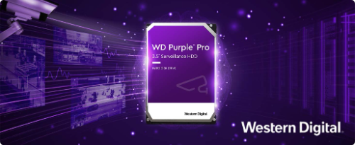 Disco Duro HDD Especial  Wester Digital Purple