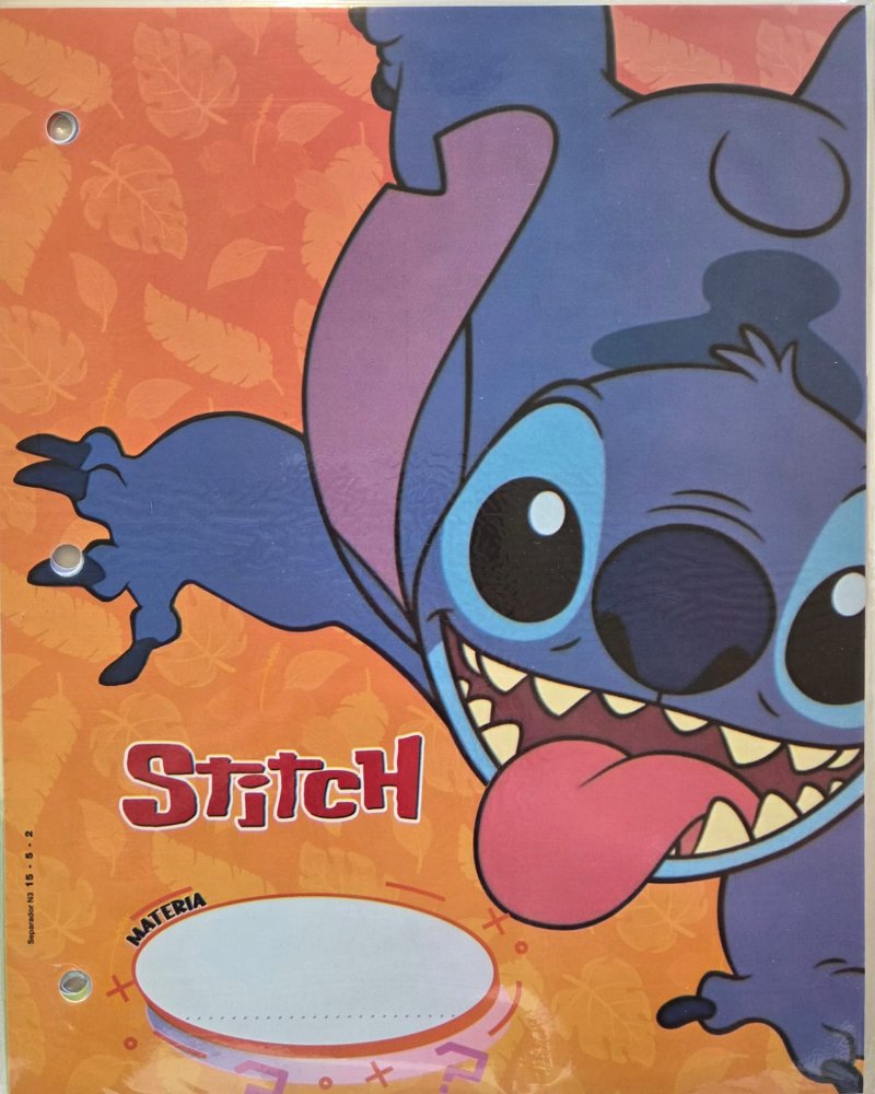 SEPARADOR DE MATERIAS CARTA STITCH
