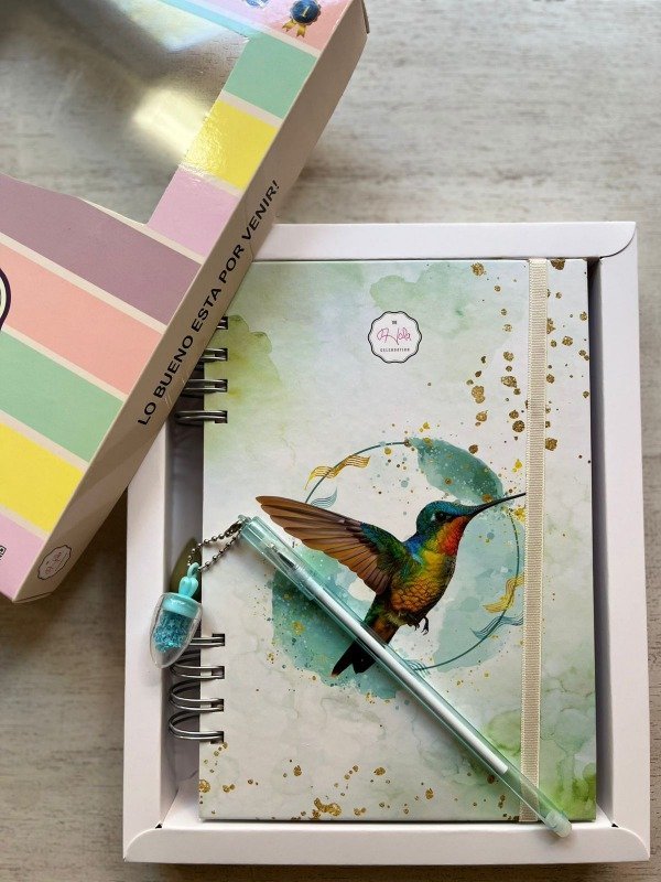 AGENDA A5 PREMIUM DOCENTE C/ ACCESORIOS