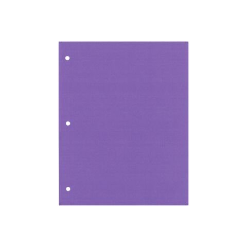 SEPARADOR CARTULINA N3 CARTA VIOLETA