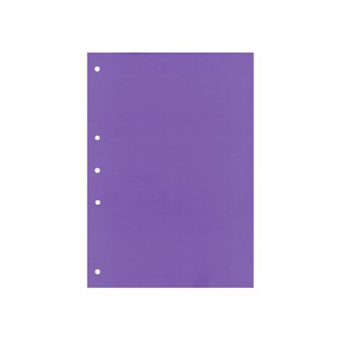 SEPARADOR CARTULINA A4 VIOLETA