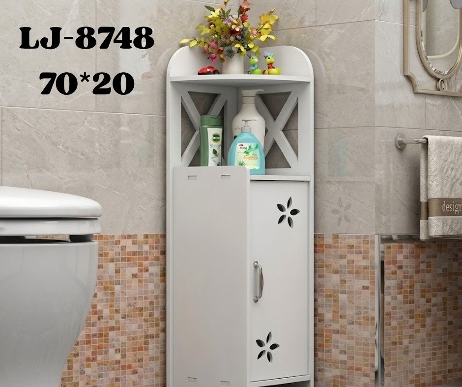 LJ-8748 Organizador (10pcs)