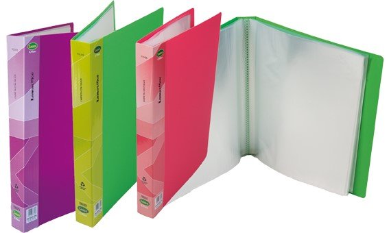Carpeta A4 con Folios x30