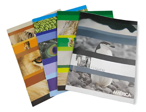 Cuaderno Flexible A5 Economico America 24 hojas Rayado