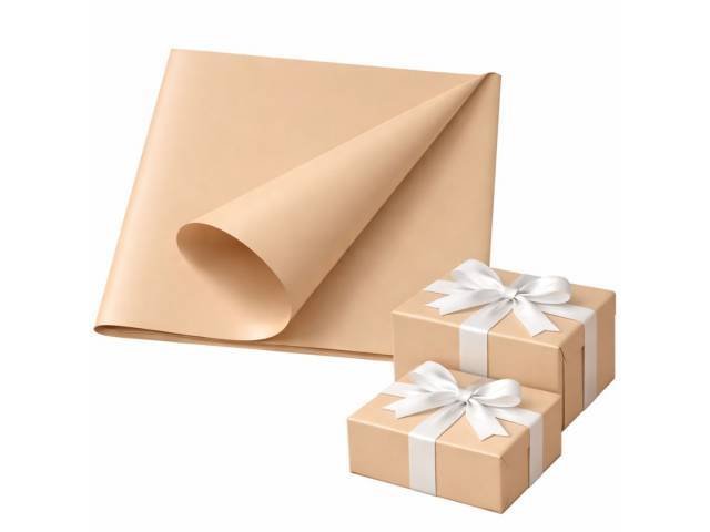 Papel de Regalo liso