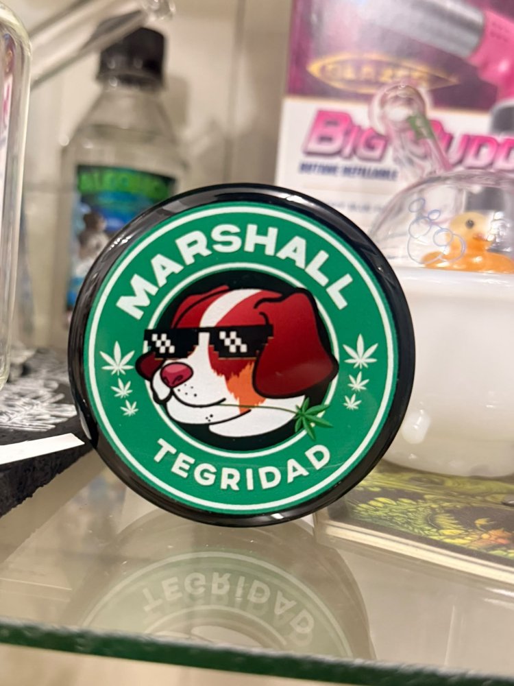 PICADOR MARSHALL OG GAFAS