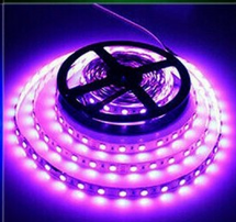 CINTA LED 10M COLOR FUCSIA 110V  VICTORIA LED