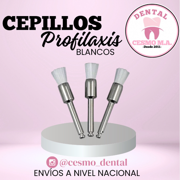 CEPILLOS DE PROFILAXIS X100 BLANCO DETALLADA *10