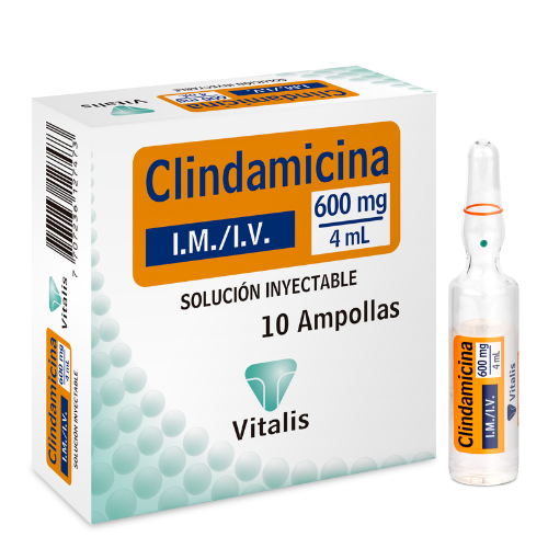 clindamicina Ampolla  iny (vitalis)
