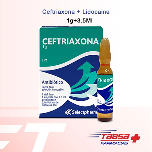 ceftriaxona + lidocaina 1g iny (selectpharma)