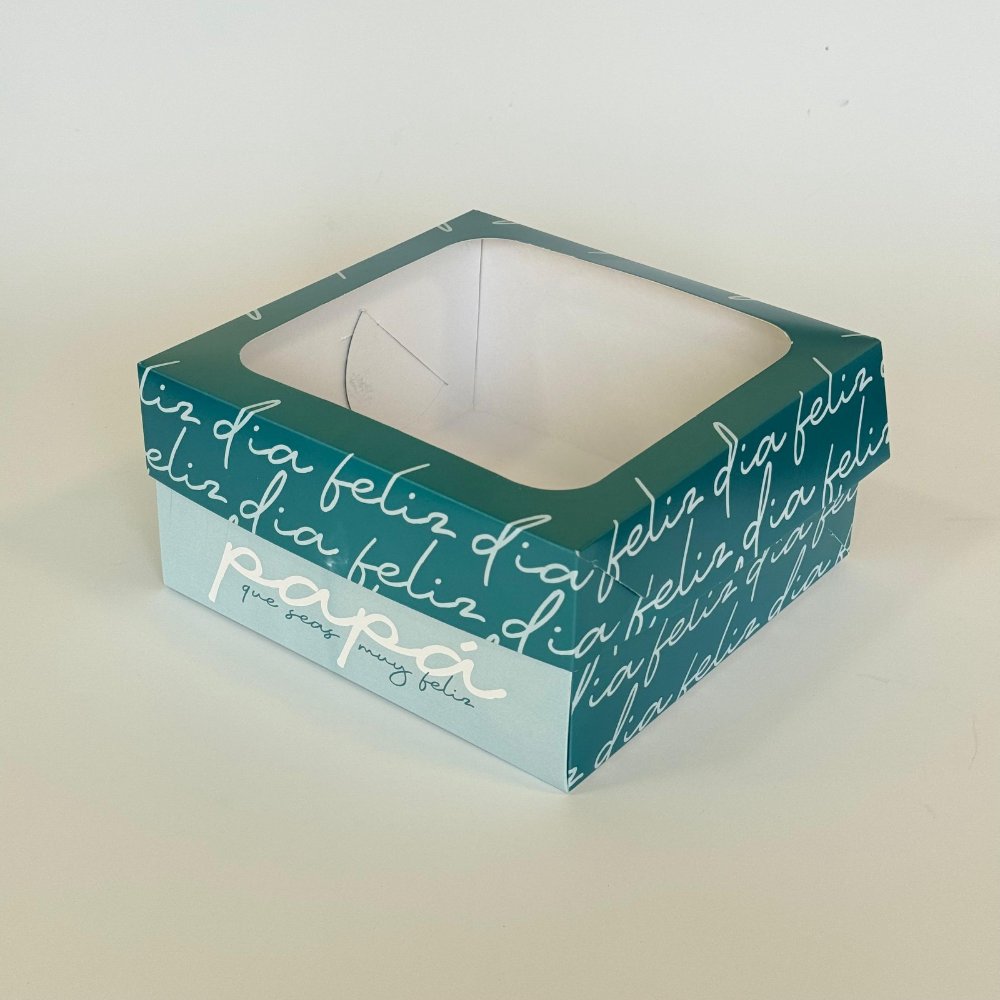 DP106 caja bisagra con visor 20x20x10